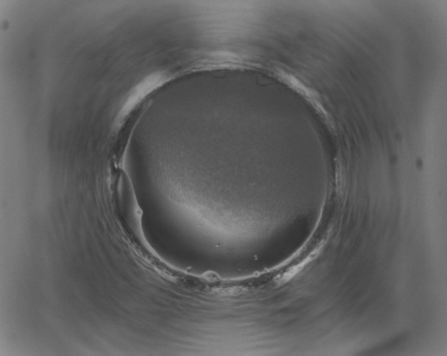 X0000058821453200510031308