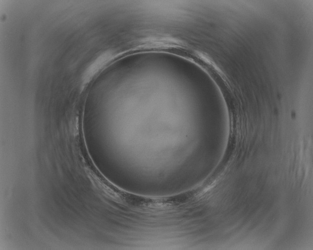 X0000058821459200510031308