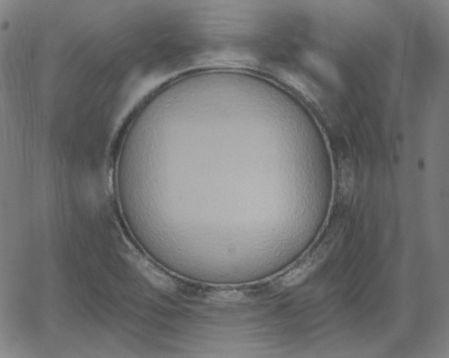 X0000058821462200510031308