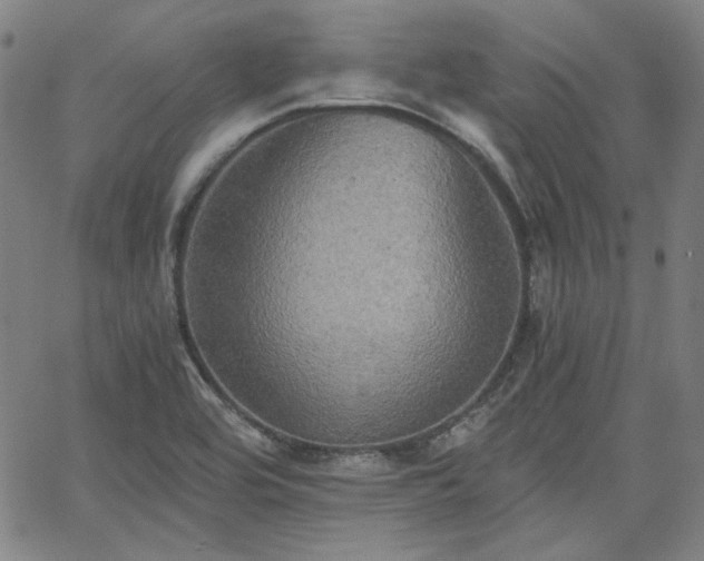 X0000058821464200510031308