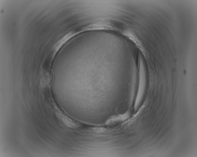 X0000058821465200510031308