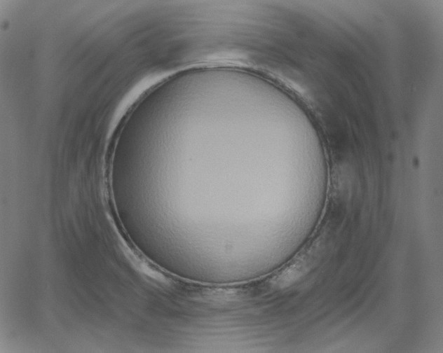 X0000058821470200510031308