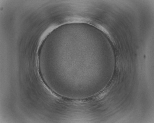 X0000058821472200510031308