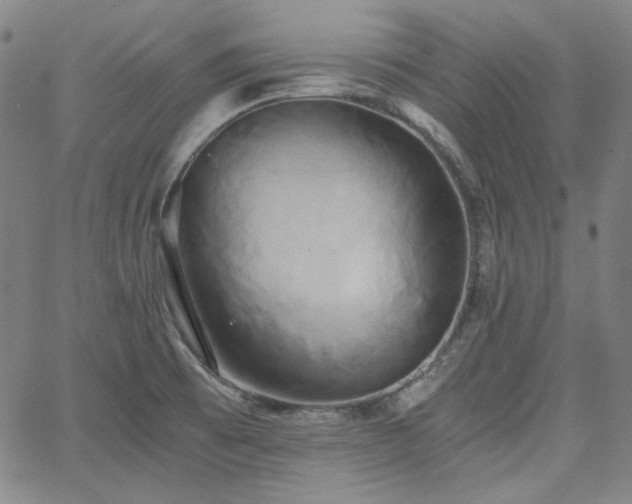 X0000058821473200510031308