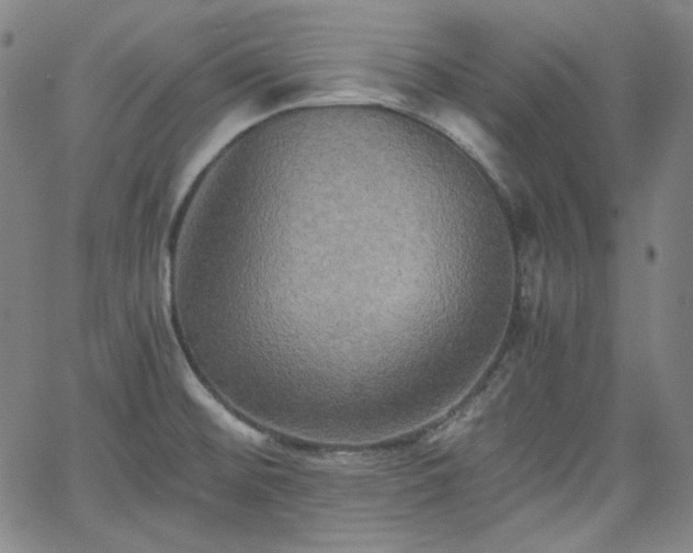 X0000058821476200510031308