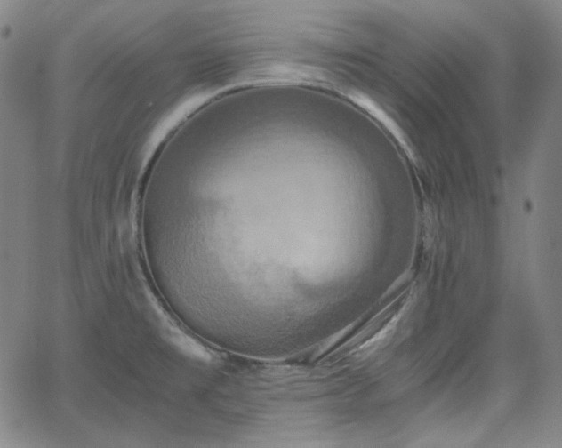 X0000058821477200510031308