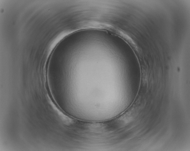 X0000058821479200510031308