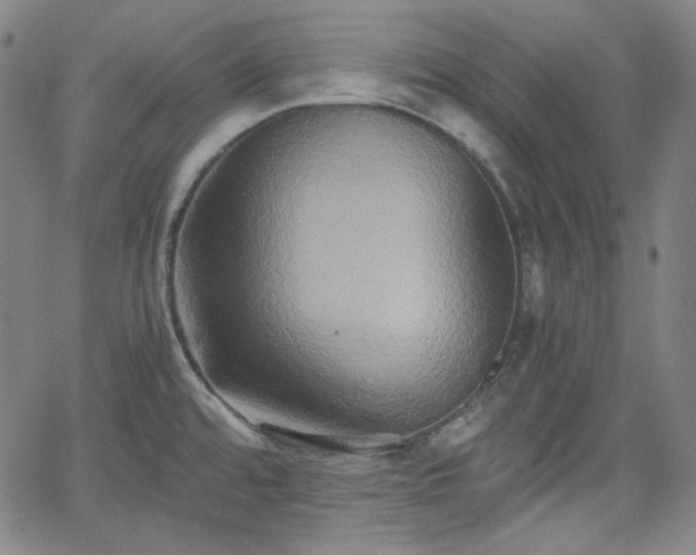 X0000058821480200510031308