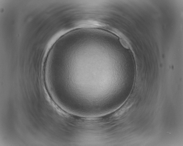 X0000058821488200510031308