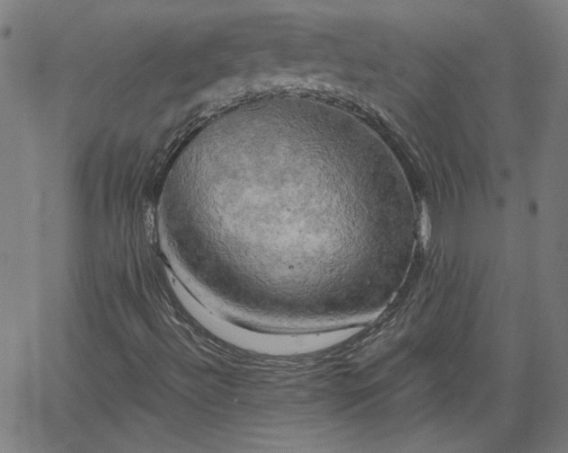 X0000058821492200510031307