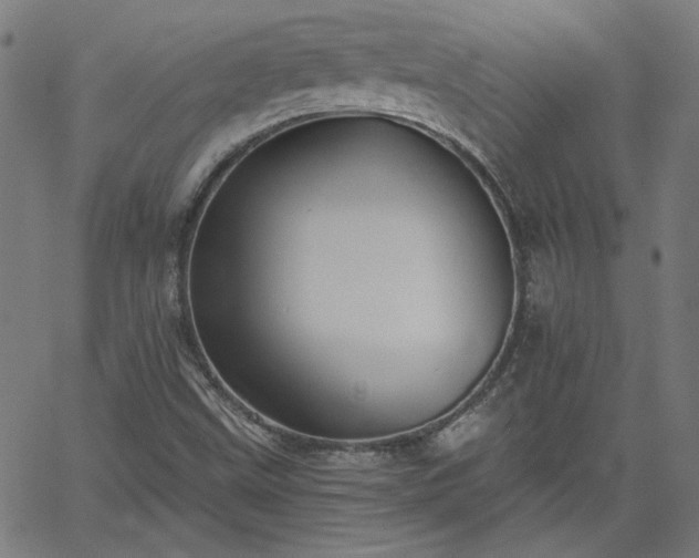 X0000058821499200510031307