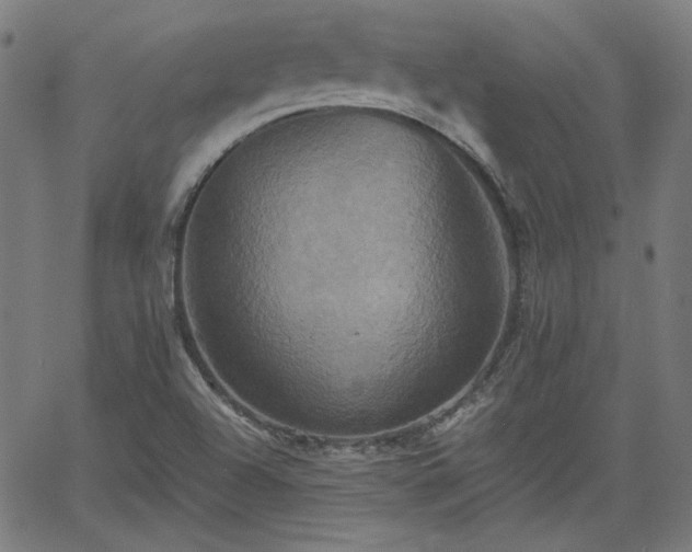 X0000058821504200510031307