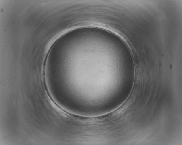 X0000058821535200510031308