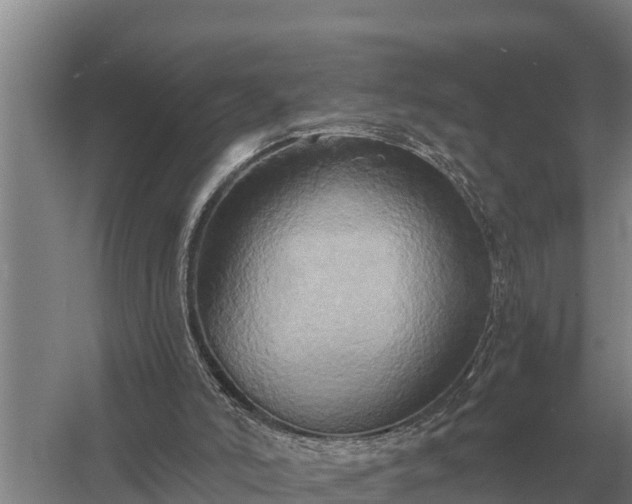 X0000058820006200510071806