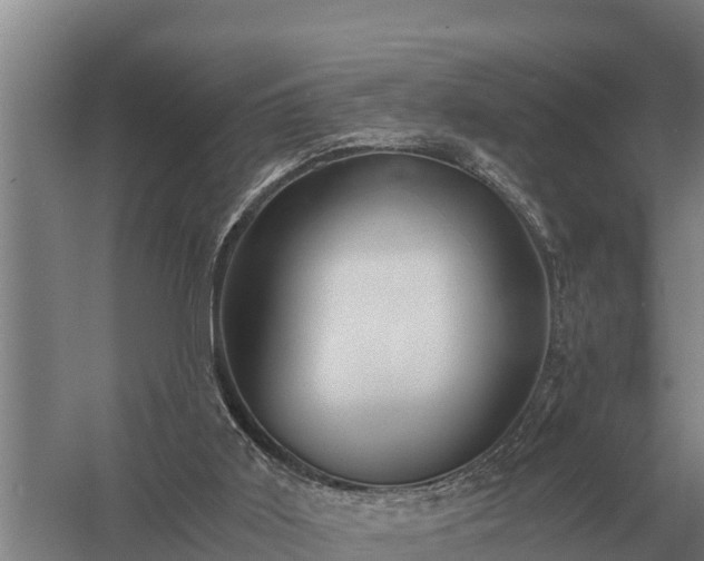 X0000058820011200510071806