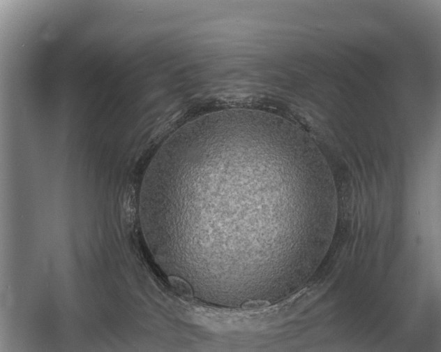 X0000058820040200510071806