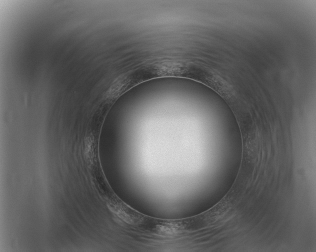 X0000058820079200510071805