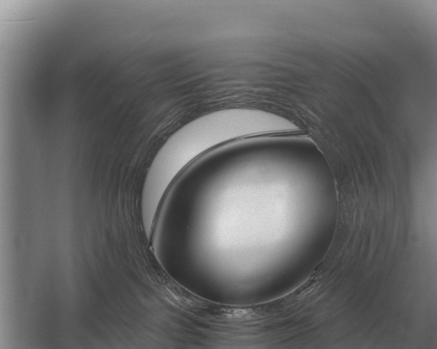 X0000058820091200510071805