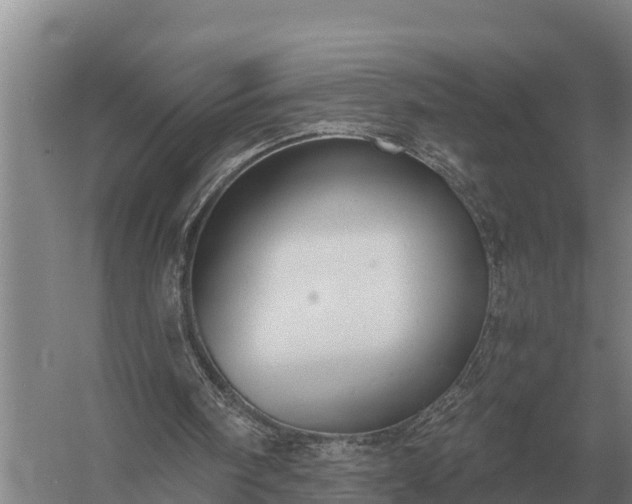 X0000058820098200510071805