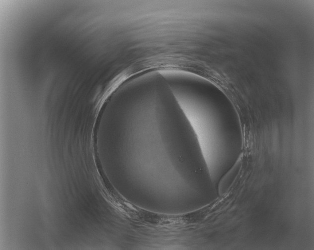 X0000058820099200510071805