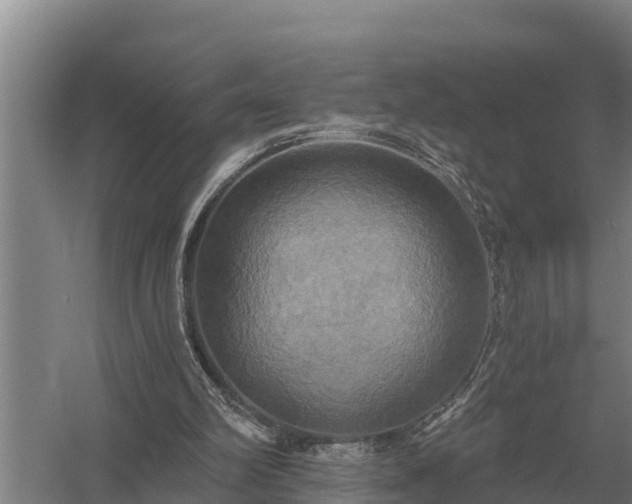 X0000058820102200510071804