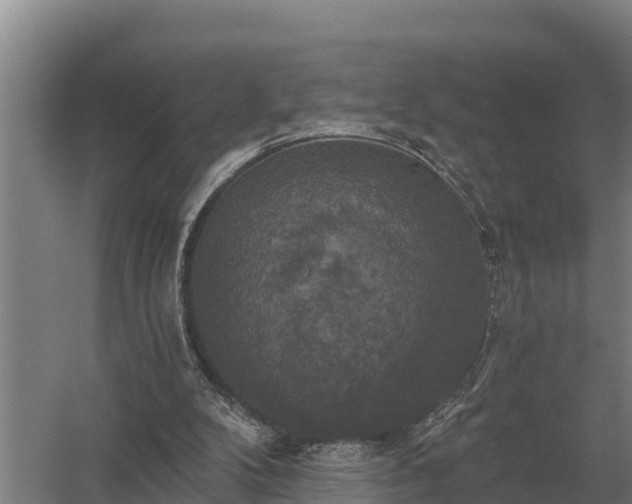 X0000058820104200510071804