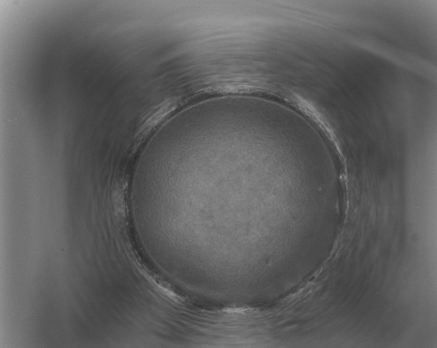 X0000058820105200510071804