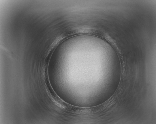 X0000058820106200510071804