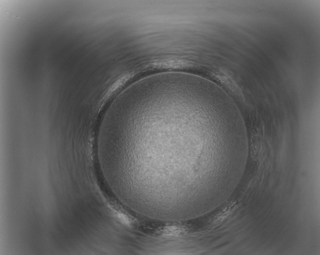 X0000058820111200510071804