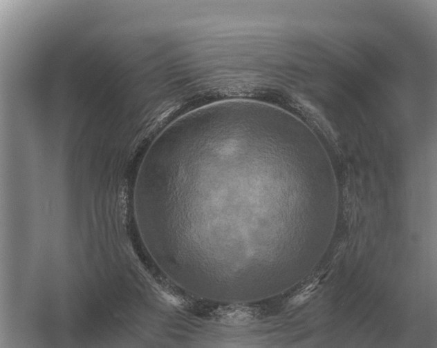 X0000058820113200510071804