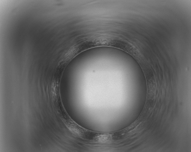 X0000058820126200510071804