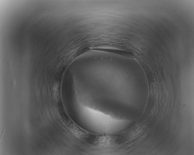 X0000058820127200510071804