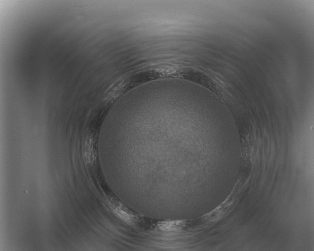 X0000058820136200510071804
