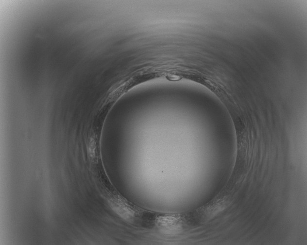 X0000058820139200510071804