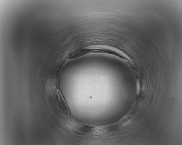 X0000058820141200510071804