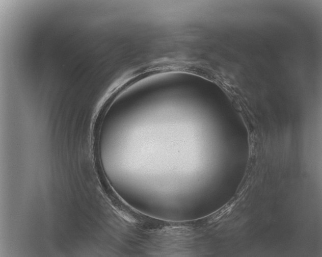 X0000058820150200510071803