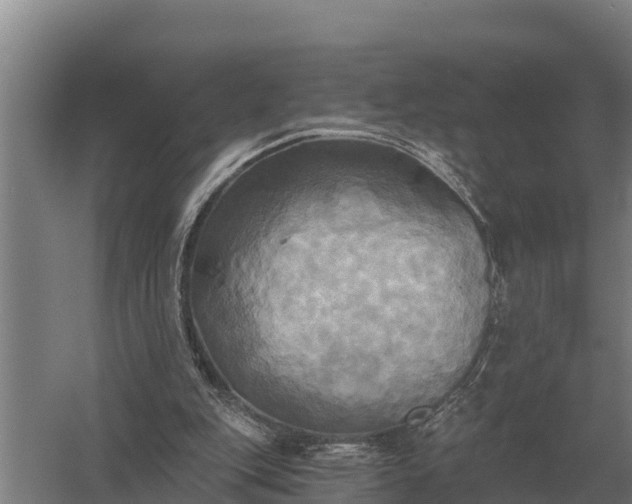 X0000058820151200510071803