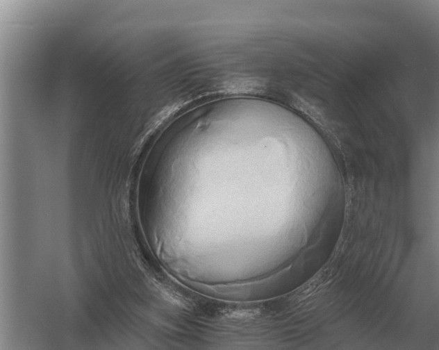 X0000058820155200510071803