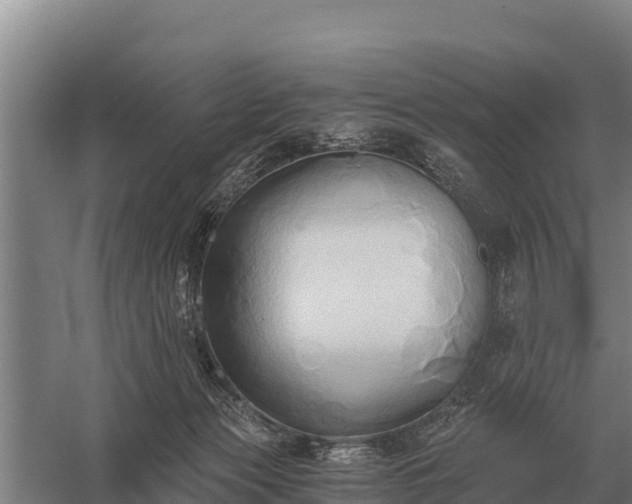 X0000058820173200510071803