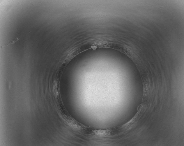 X0000058820187200510071804