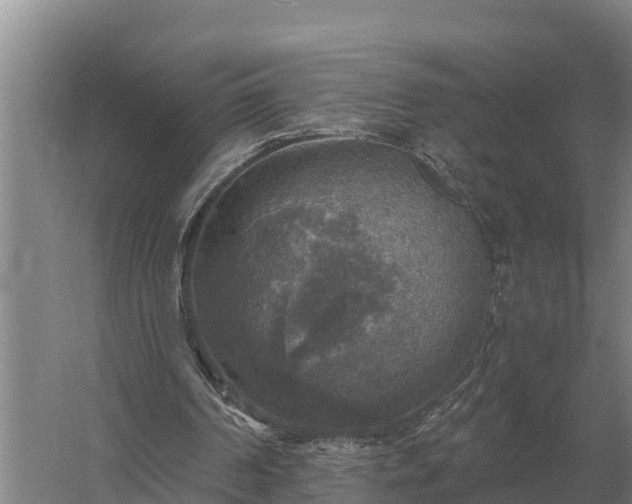 X0000058820194200510071803