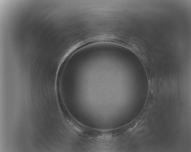 X0000058820196200510071803