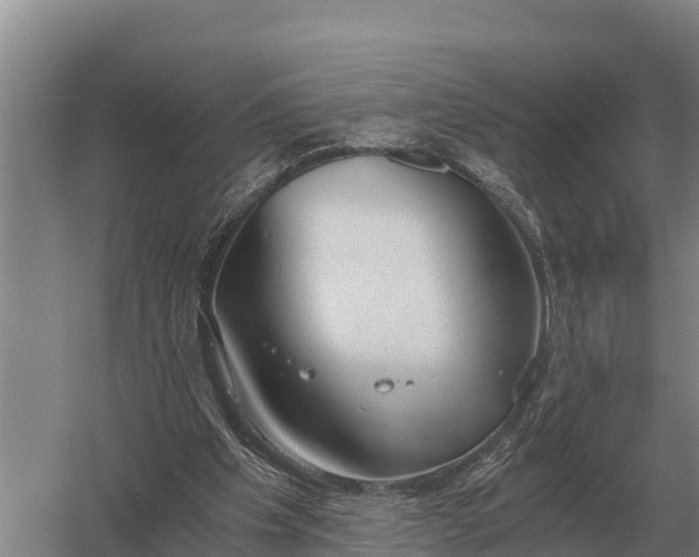 X0000058820201200510071803
