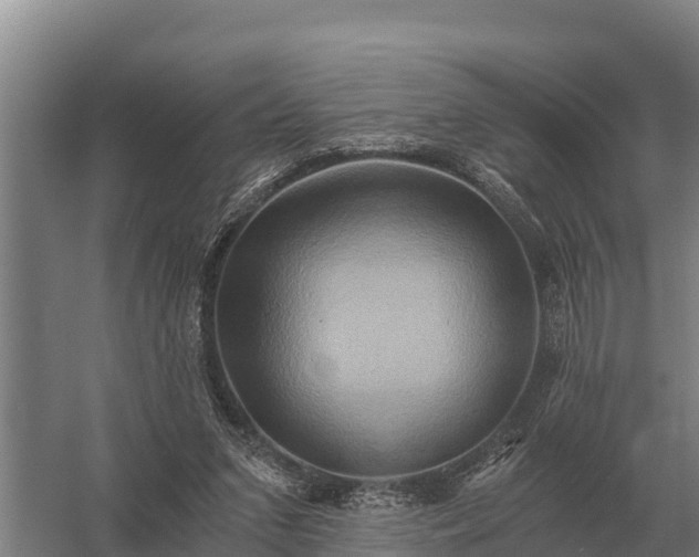 X0000058820207200510071803