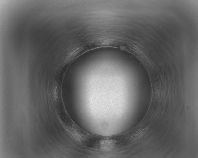X0000058820216200510071803