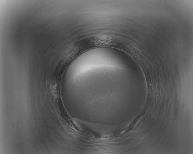 X0000058820224200510071802