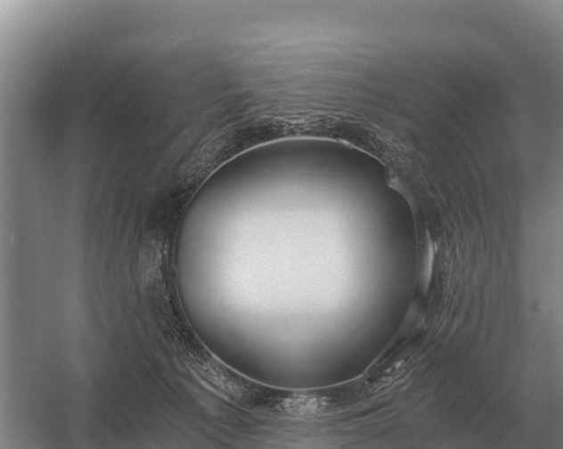 X0000058820225200510071802