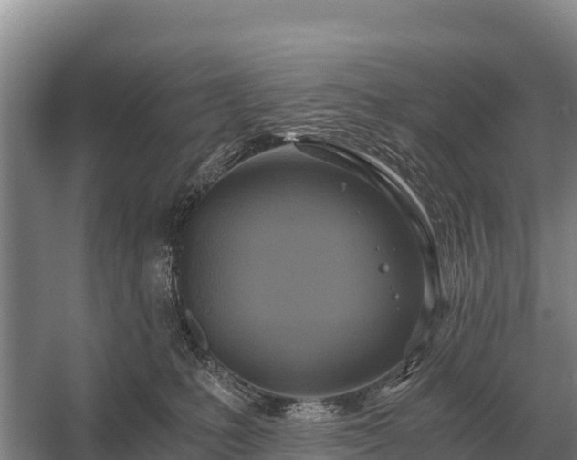 X0000058820231200510071802