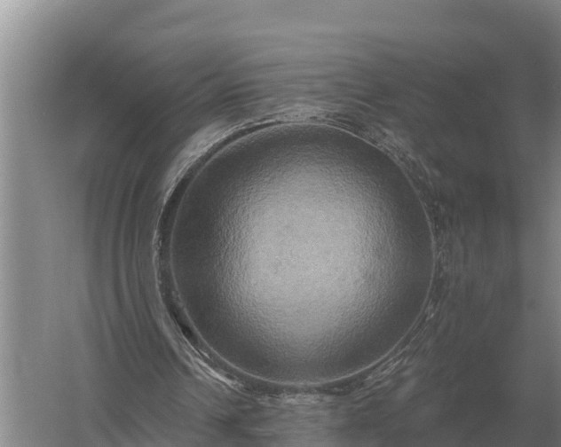 X0000058820242200510071801