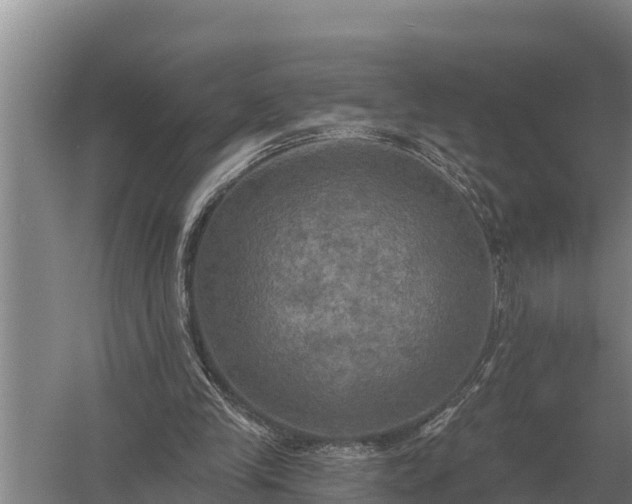X0000058820245200510071801